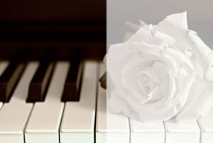 Baileys Print Co Background Card Image Piano